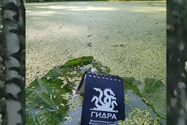 Сайт кракен что это такое