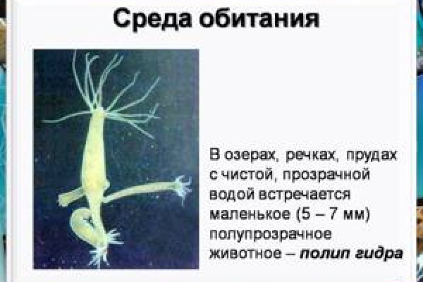 Кракен ссылка на тор официальная